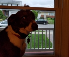 Lena